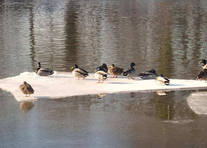 Hotel Doellnsee-schorfheide