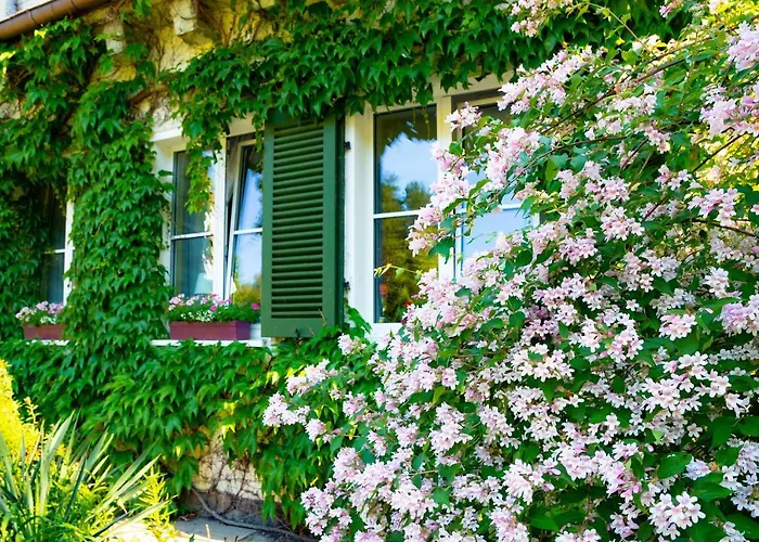 Döllnsee-schorfheide